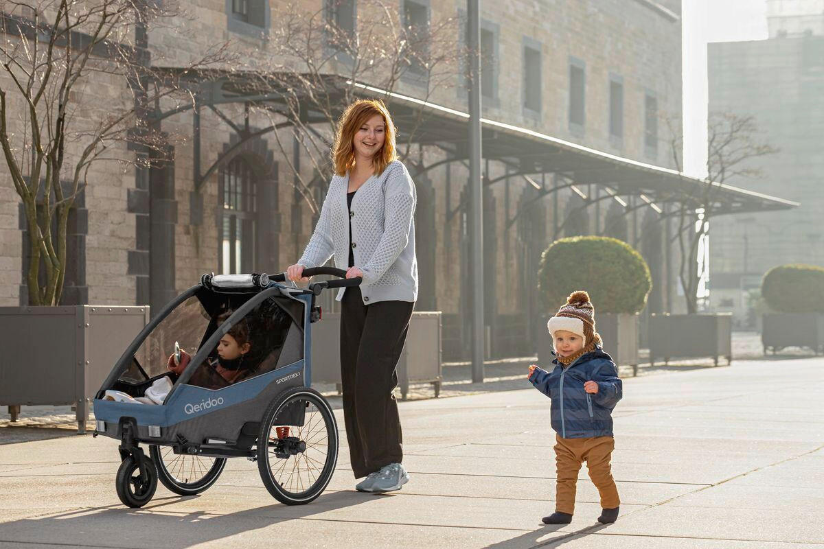 FAHRRADANHÄNGER   Sportrex 1  - Graublau/Dunkelblau, Basics, Kunststoff/Metall (112/67/106cm)