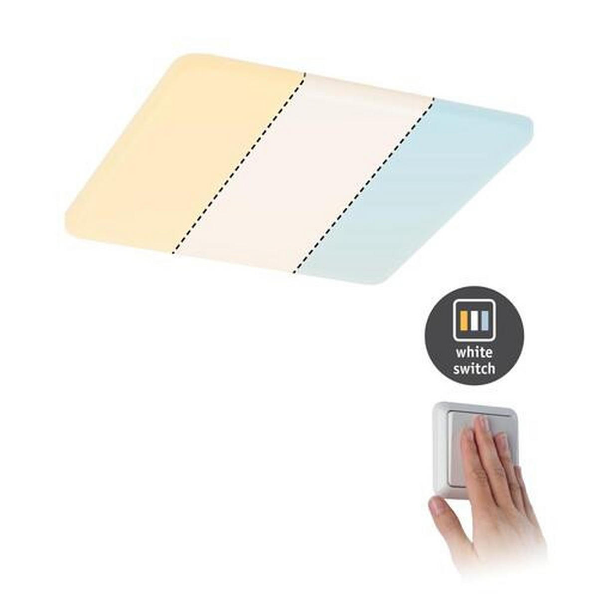 LED-PANEEL 21,5/21,5/1 cm  - Weiß, Basics, Kunststoff (21,5/21,5/1cm) - Paulmann