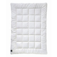 GANZJAHRESDECKE  135/200 cm 100 % Polyester  - Basics, Textil (135/200cm) - Billerbeck