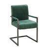 ARMLEHNSTUHL  inklusive Armlehnen Samt  - Schwarz/Grün, Trend, Textil/Metall (54/91/63cm) - Ambia Home