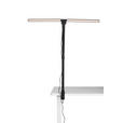 LED-KLEMMLEUCHTE Hayward 80/35/71,5 cm  - Schwarz, Basics, Kunststoff/Metall (80/35/71,5cm) - Novel