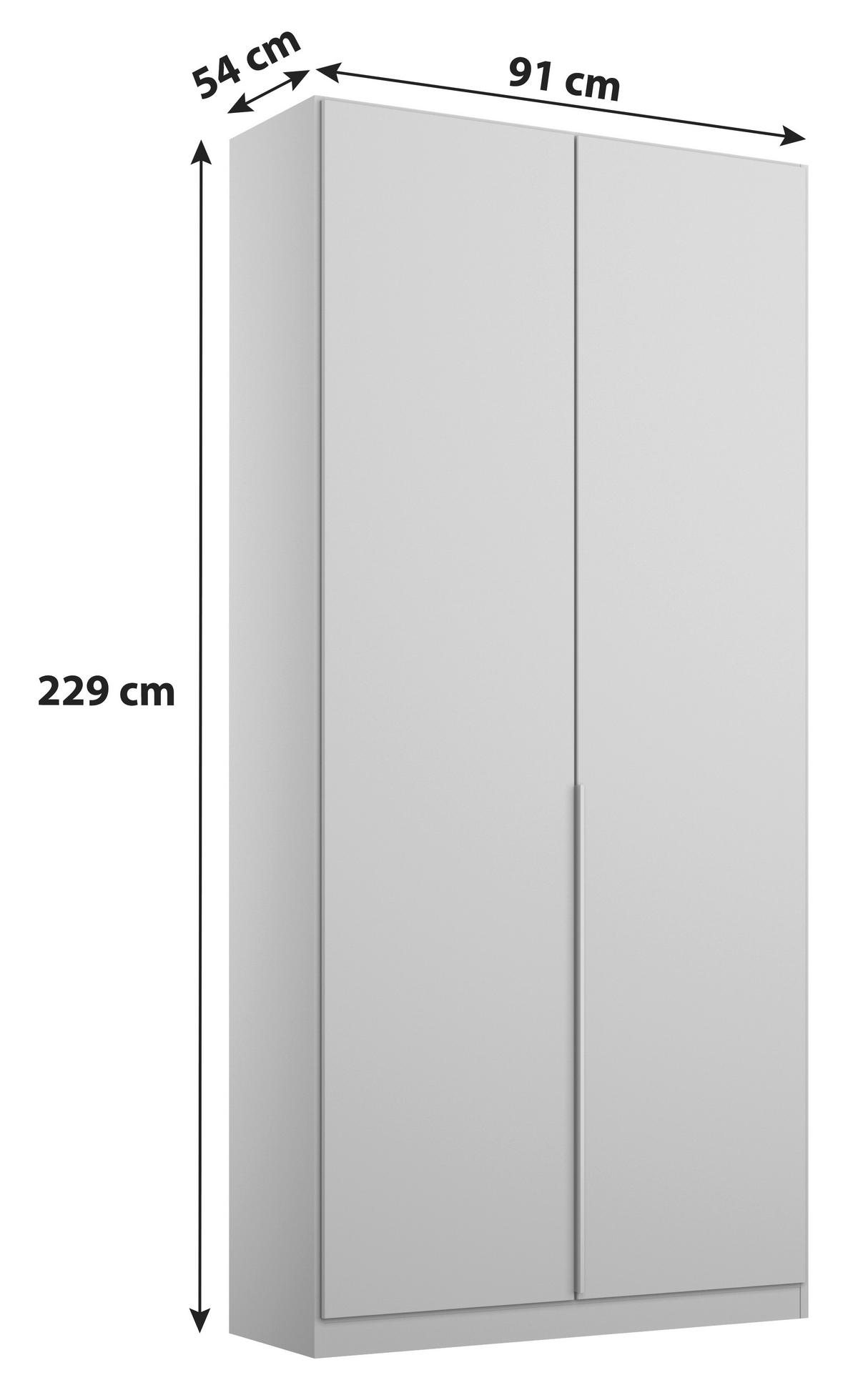 DREHTÜRENSCHRANK in Hellgrau  - Hellgrau/Alufarben, Modern, Holzwerkstoff (91/229/54cm) - Rauch Möbel