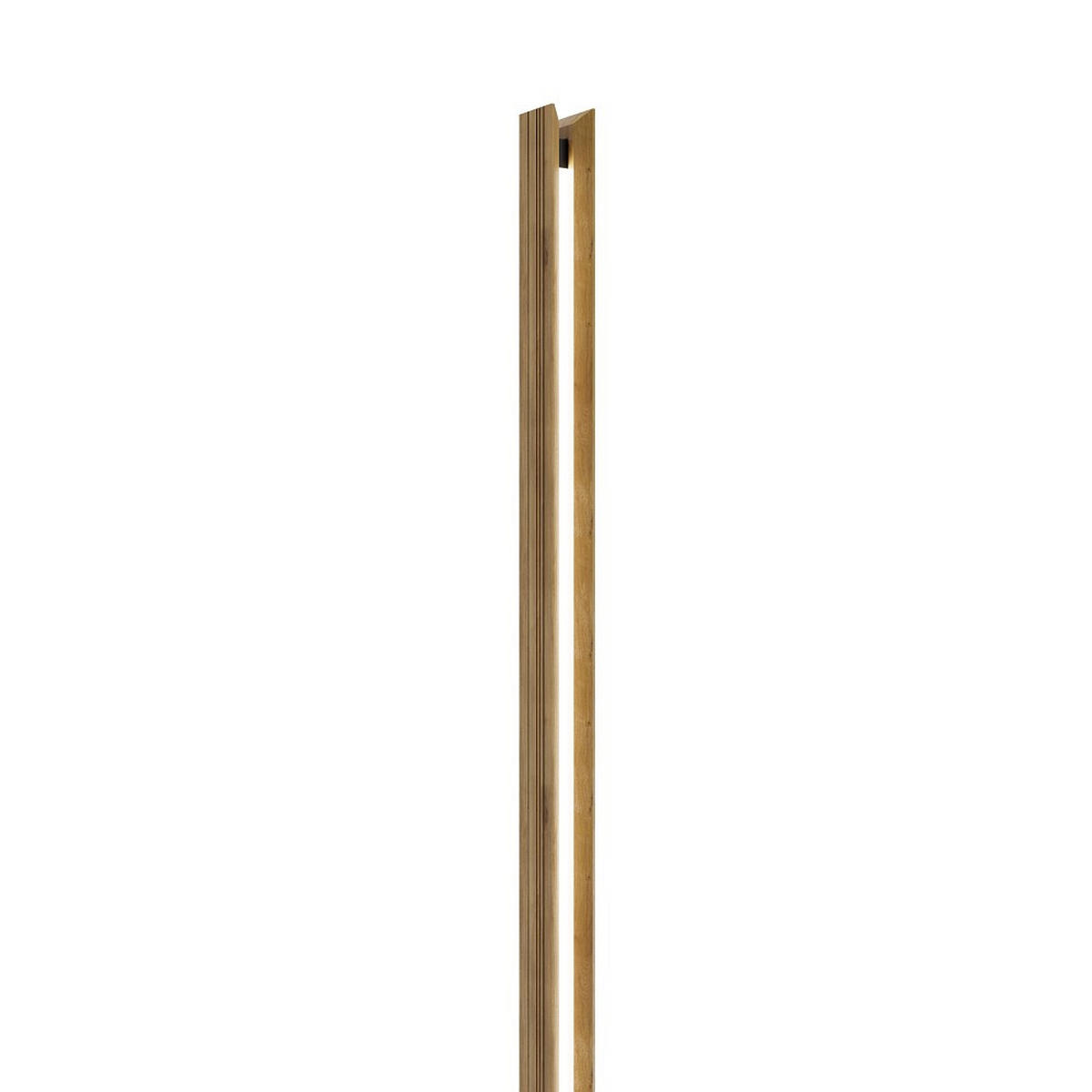 LED-STEHLEUCHTE - Schwarz, Natur, Holz/Metall (21/150cm) - Waldwelt