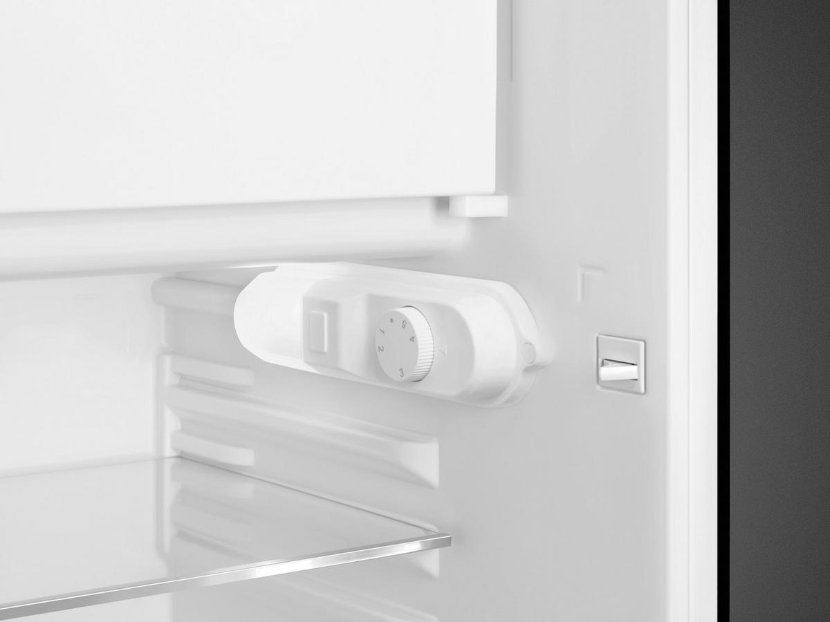 KÜHLSCHRANK 54,5/97-98/70,1 cm  - Pastellgrün, Basics, Glas/Metall (54,5/97-98/70,1cm) - SMEG