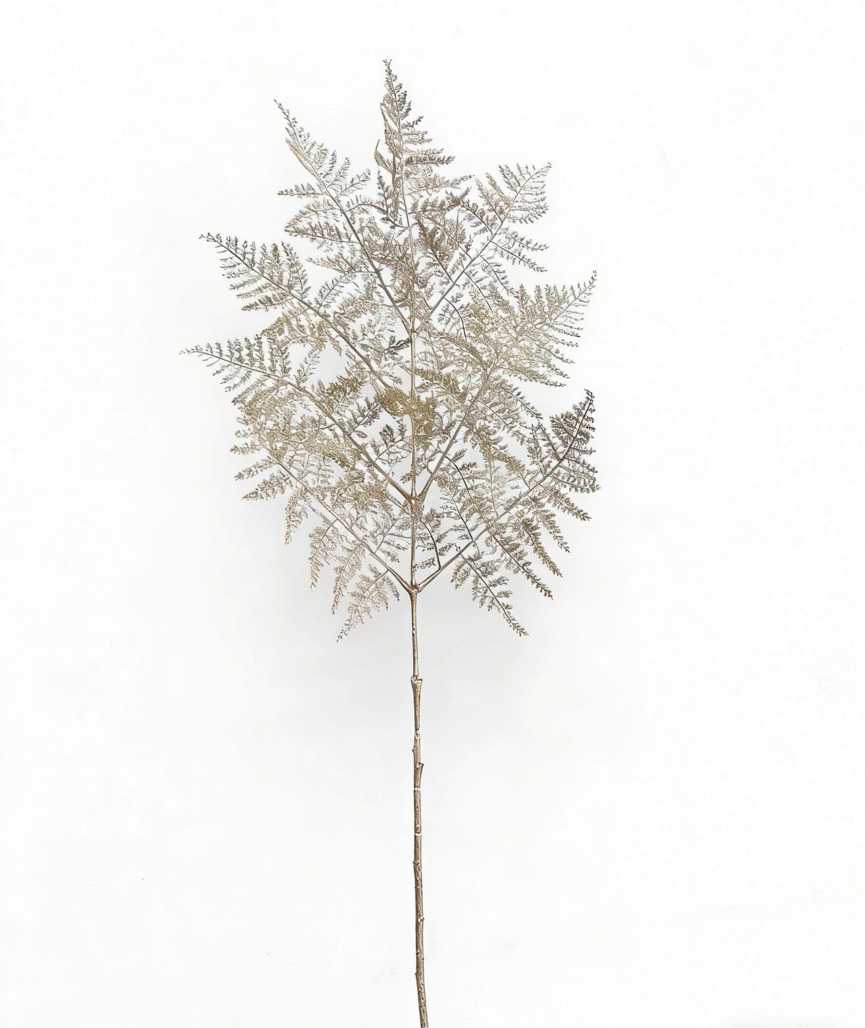 KUNSTBLUME - Champagner, LIFESTYLE, Kunststoff (93cm)