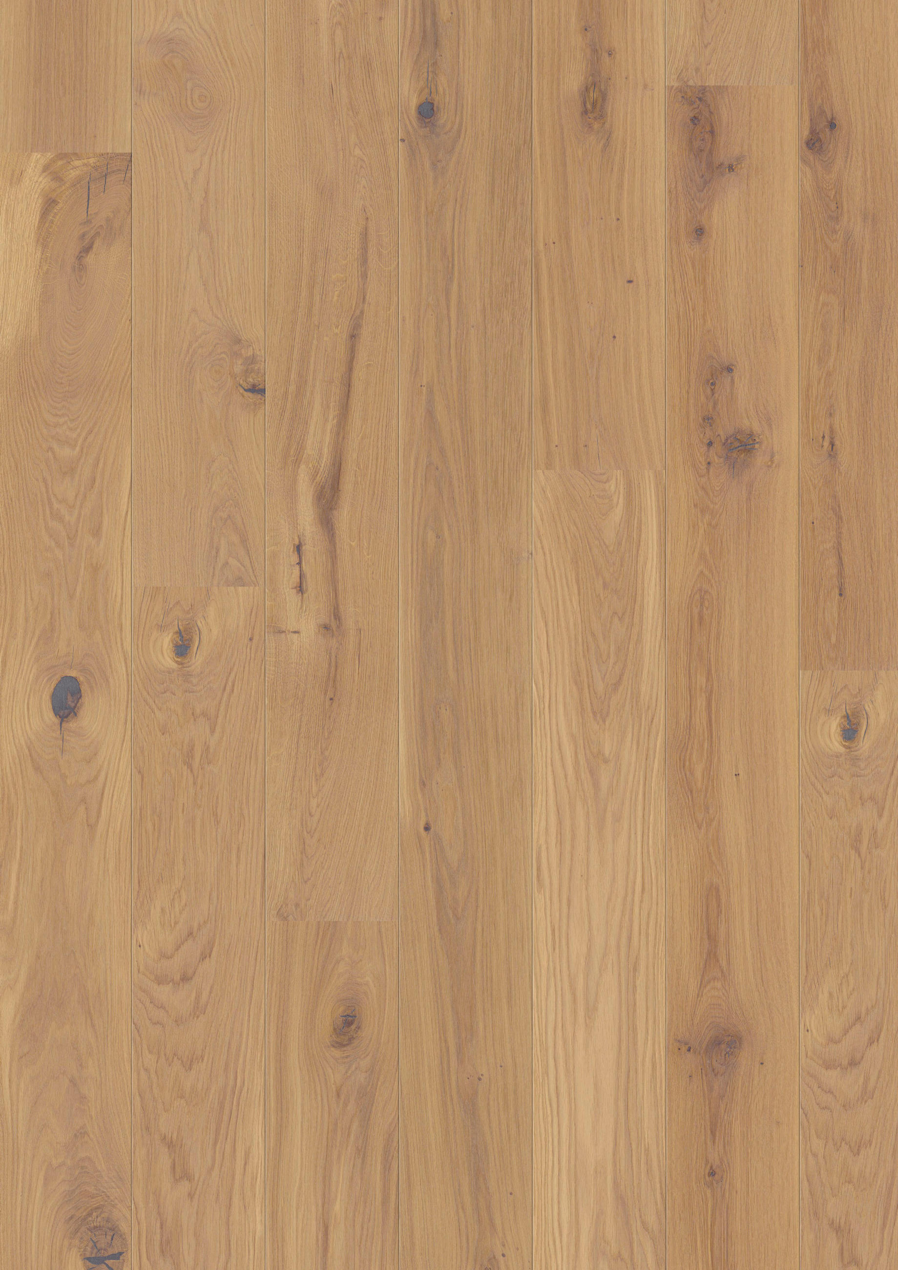 LANDHAUSDIELE MARCANTO TREND Eiche Sahara 100031603  per  m² - Eichefarben, Design, Holz (220,5/17,6/1,3cm) - Tilo