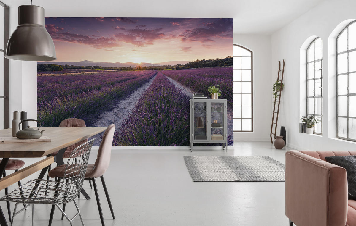 FOTOTAPETE  - Multicolor, Trend, Textil (450/280cm) - Xora
