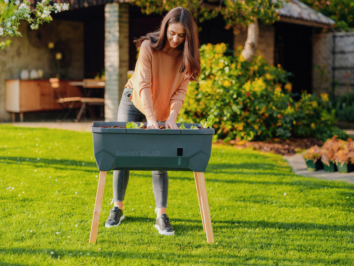 HOCHBEET 38/95/79 cm  - Anthrazit, Basics, Holz/Kunststoff (38/95/79cm) - Gusta Garden