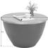 COUCHTISCH Mangoholz massiv rund Braun, Schwarz - Schwarz/Braun, MODERN, Holz/Metall (72/43cm) - Carryhome