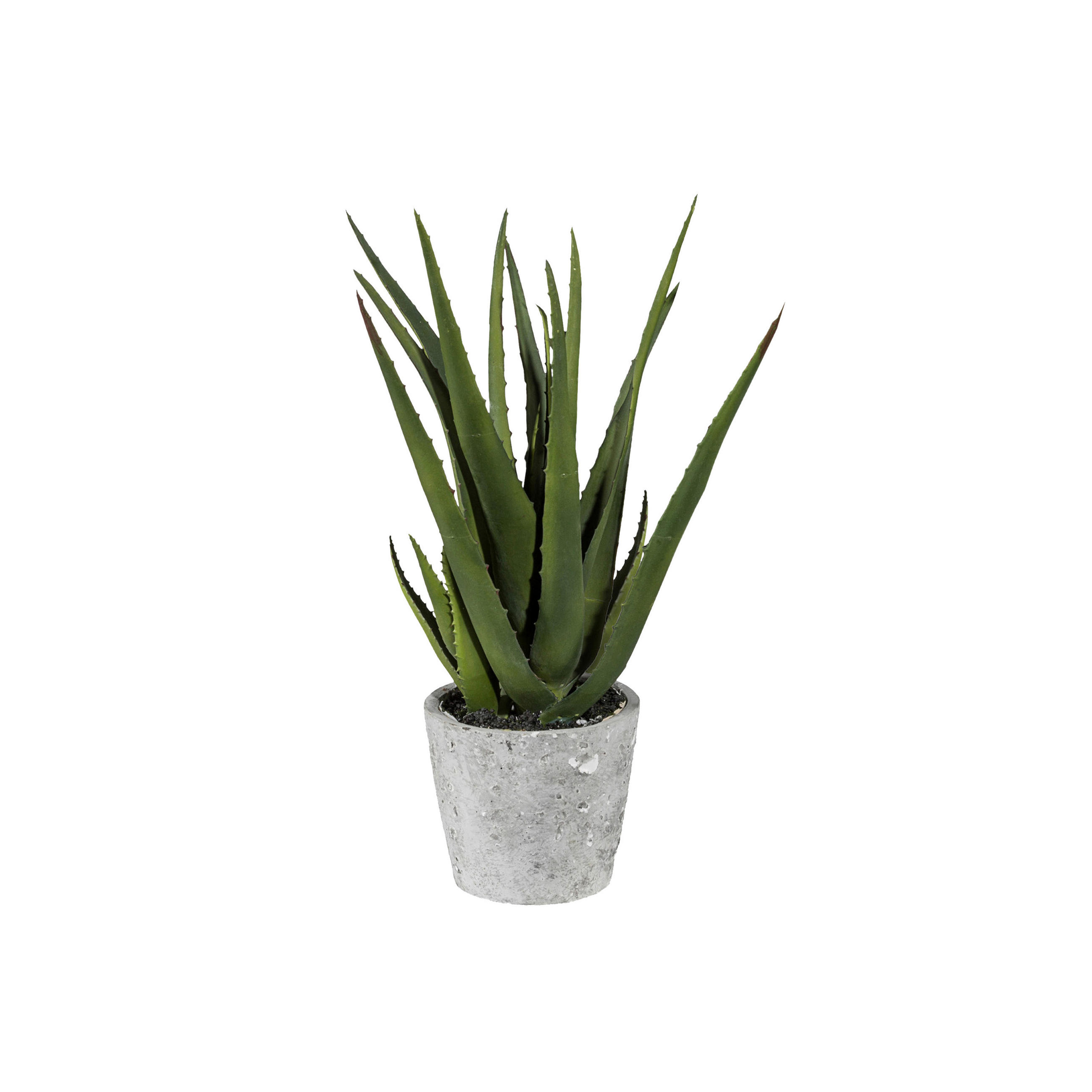 KUNSTPFLANZE Aloe Vera 40 cm  - Grau/Grün, Design, Keramik/Kunststoff (40cm) - P & B