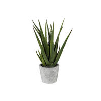 KUNSTPFLANZE Aloe Vera 40 cm  - Grau/Grün, Design, Keramik/Kunststoff (40cm) - P & B