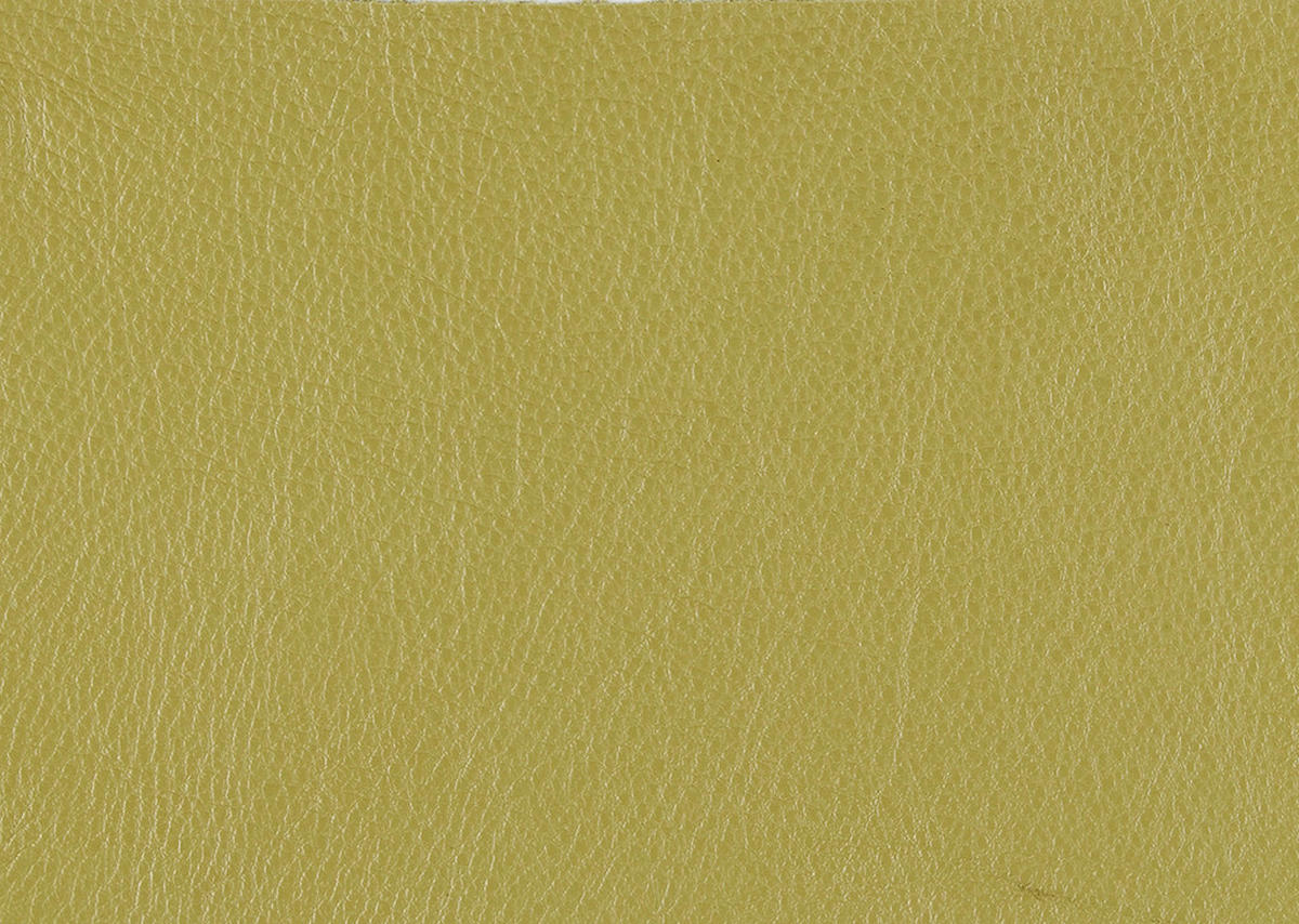 RELAXSESSEL in Leder Limette  - Edelstahlfarben/Limette, Design, Leder/Metall (92/79/90cm) - Koinor