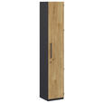 AKTENSCHRANK Anthrazit, Hickory  - Anthrazit/Hickory, KONVENTIONELL, Holzwerkstoff (40/220,5/41,9cm) - Moderano