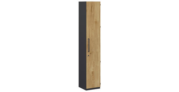 AKTENSCHRANK Anthrazit, Hickory  - Anthrazit/Hickory, KONVENTIONELL, Holzwerkstoff (40/220,5/41,9cm) - Moderano