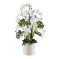 KUNSTPFLANZE Orchidee 140 cm  - Creme/Weiß, Design, Kunststoff (140cm) - P & B