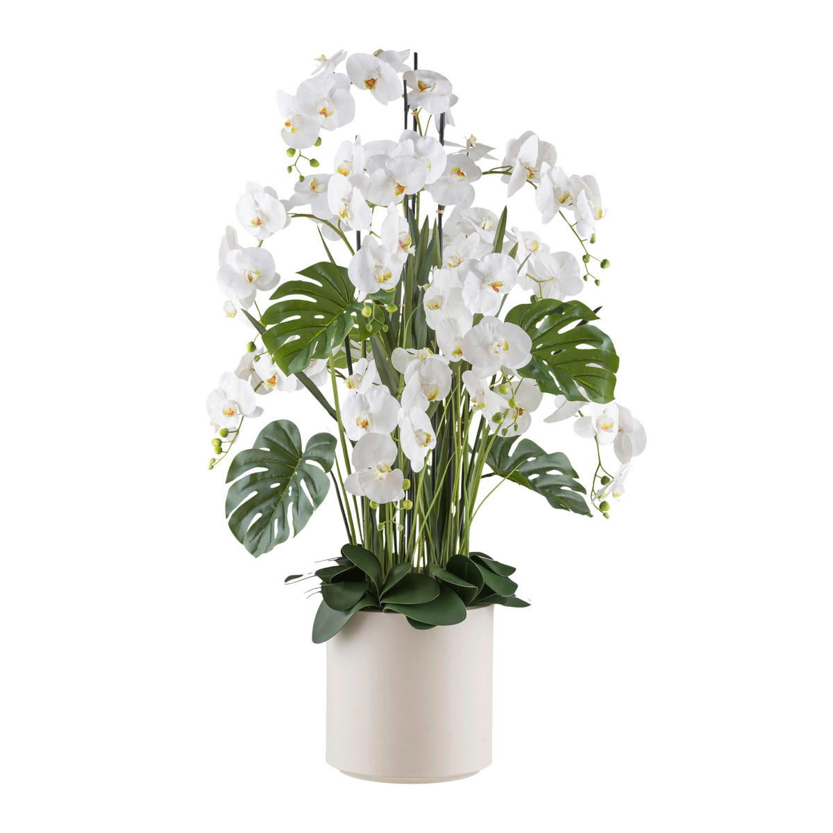 KUNSTPFLANZE Orchidee 140 cm  - Creme/Weiß, Design, Kunststoff (140cm) - P & B