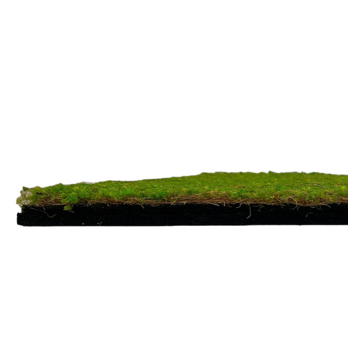 AKUSTIKPANEEL Modular Wall System Design Flora 52/52/2 cm  - Hellgrün, MODERN, Kunststoff (52/52/2cm) - Jangal