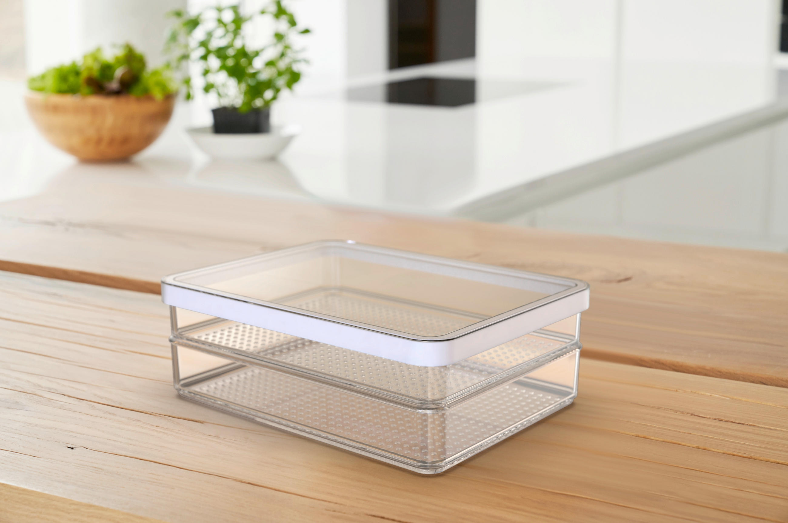 FRISCHHALTEDOSENSET LOFT  - Transparent/Weiß, Basics, Kunststoff (20/15/7cm) - Rotho