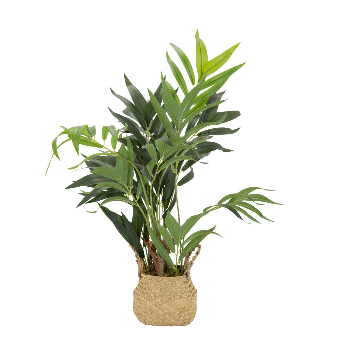 KUNSTPFLANZE Palme  - Hellbraun/Grün, Basics, Kunststoff/Textil (50/65/50cm) - MID.YOU