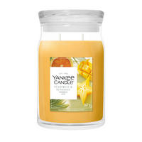 DIŠEČA SVEČA - svetlo rumena, Basics, steklo (9.3/15.7/9.3cm) - Yankee Candle