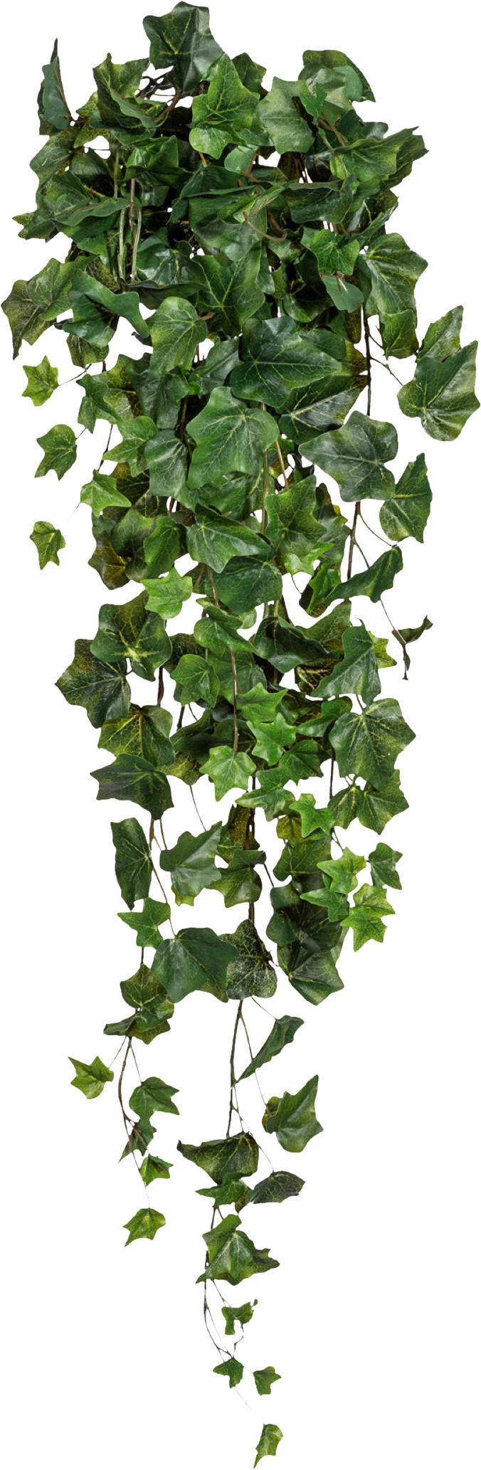 KUNSTPFLANZE Efeu 85 cm  - Grün, Design, Kunststoff (85cm) - P & B