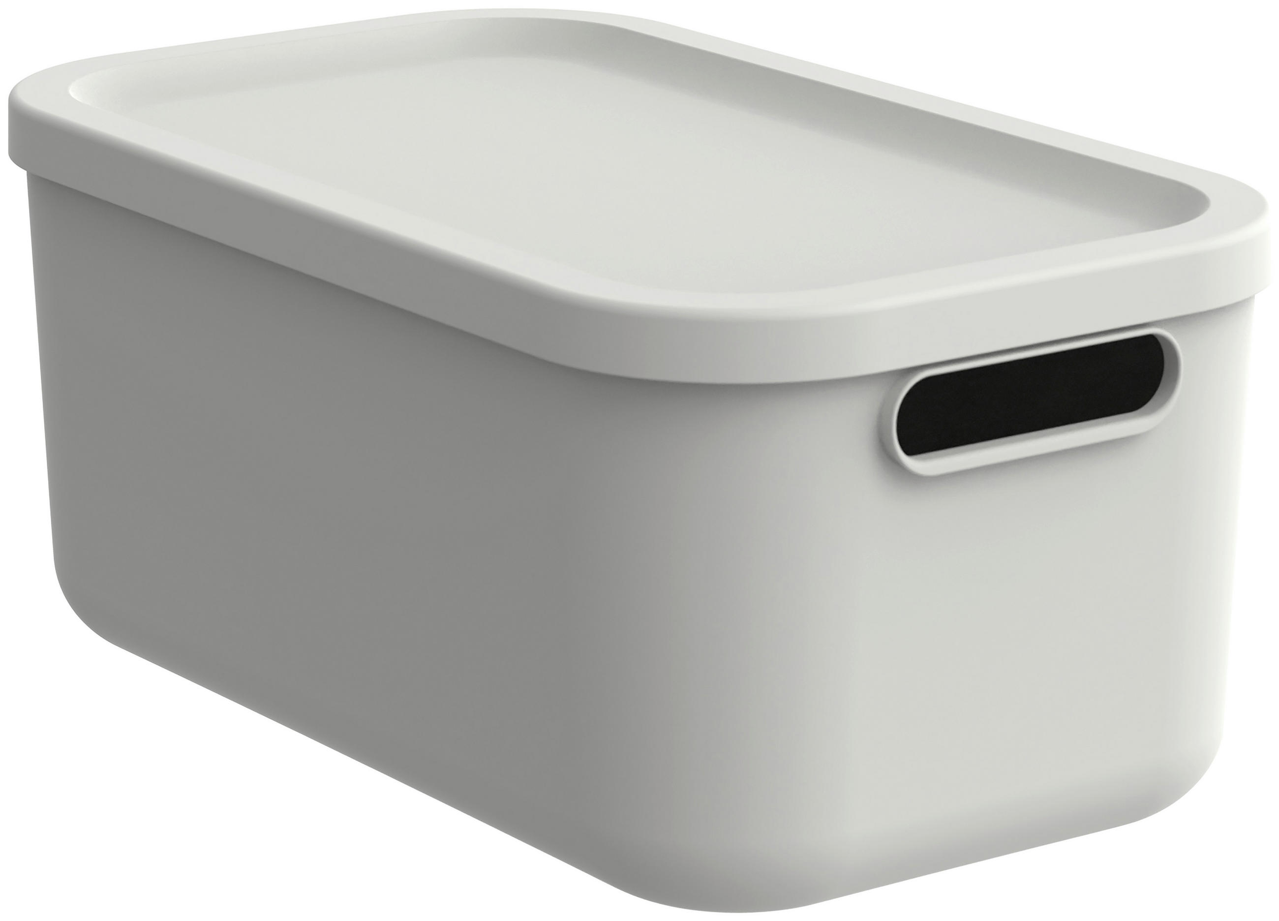 BOX MIT DECKEL    39,5/23,5/17,7 cm  - Weiß, Basics, Kunststoff (39,5/23,5/17,7cm) - Rotho