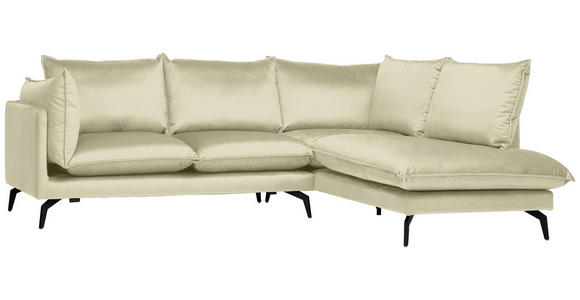 ECKSOFA Creme Samt  - Creme/Schwarz, Design, Textil/Metall (241/200cm) - Carryhome