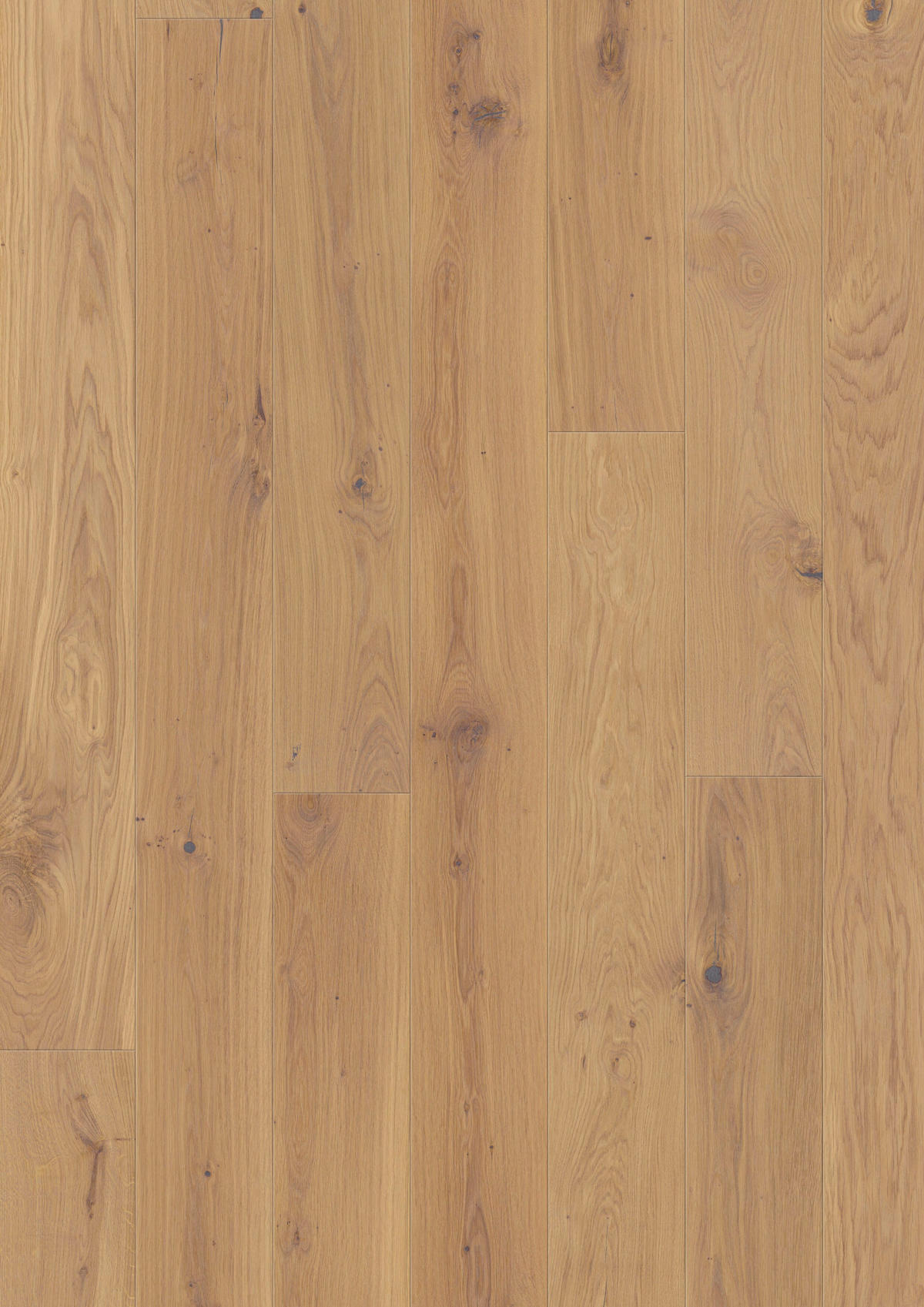 LANDHAUSDIELE Marcanto Eiche Sahara 100010901  per  m² - Design, Holz (220,5/17,6/1,3cm) - Tilo