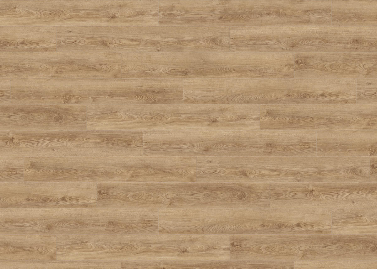 DESIGNBODEN Living by HARO Designboden PowerStar  per  m² - Honigeiche, Basics, Holzwerkstoff (19.3/128.2cm) - Living by HARO