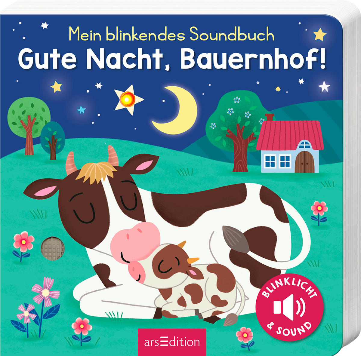 SOUNDBUCH  - Basics (17,6/17,6/1,8cm) - Carlsen