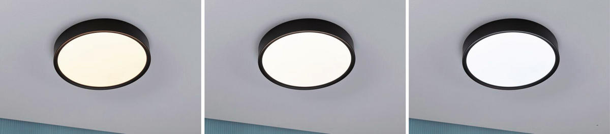 LED-DECKENLEUCHTE Tega 33,4/6,5 cm   - Schwarz, Basics, Kunststoff (33,4/6,5cm) - Paulmann