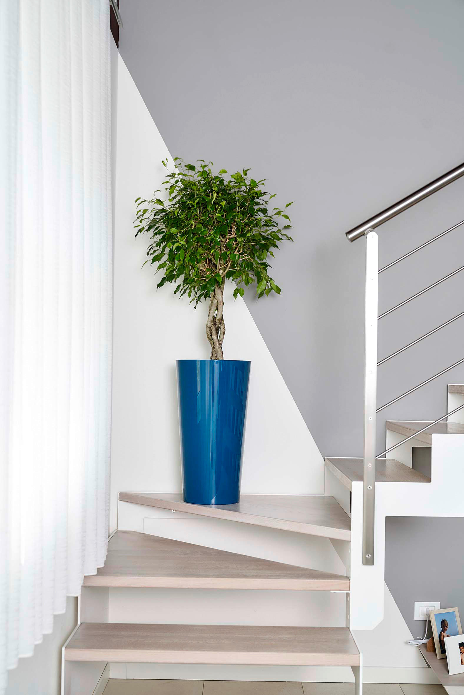 PFLANZENTOPF 33/61 cm  - Blau, Basics, Kunststoff (33/61cm)
