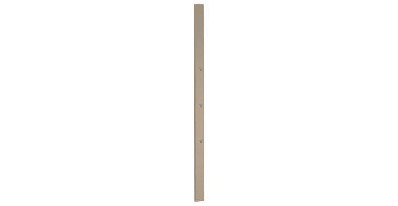 GARDEROBENPANEEL 10/165/3 cm  - Taupe, Design, Holzwerkstoff/Metall (10/165/3cm) - Moderano