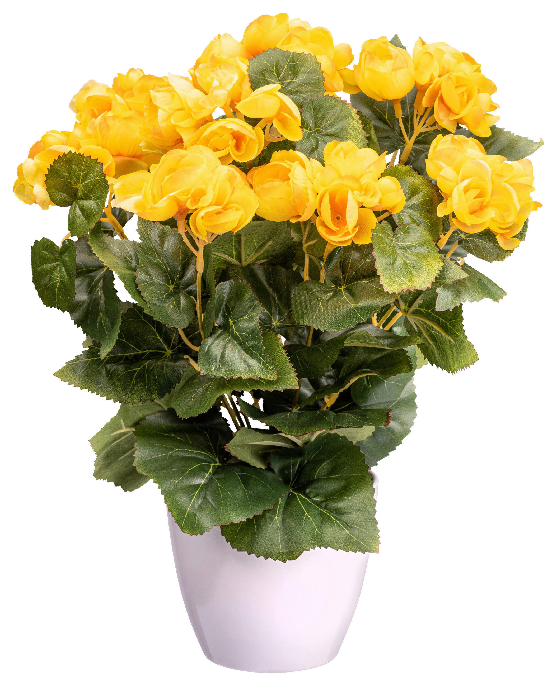 KUNSTPFLANZE 35 cm  - Gelb/Weiß, Design, Kunststoff (35cm) - P & B