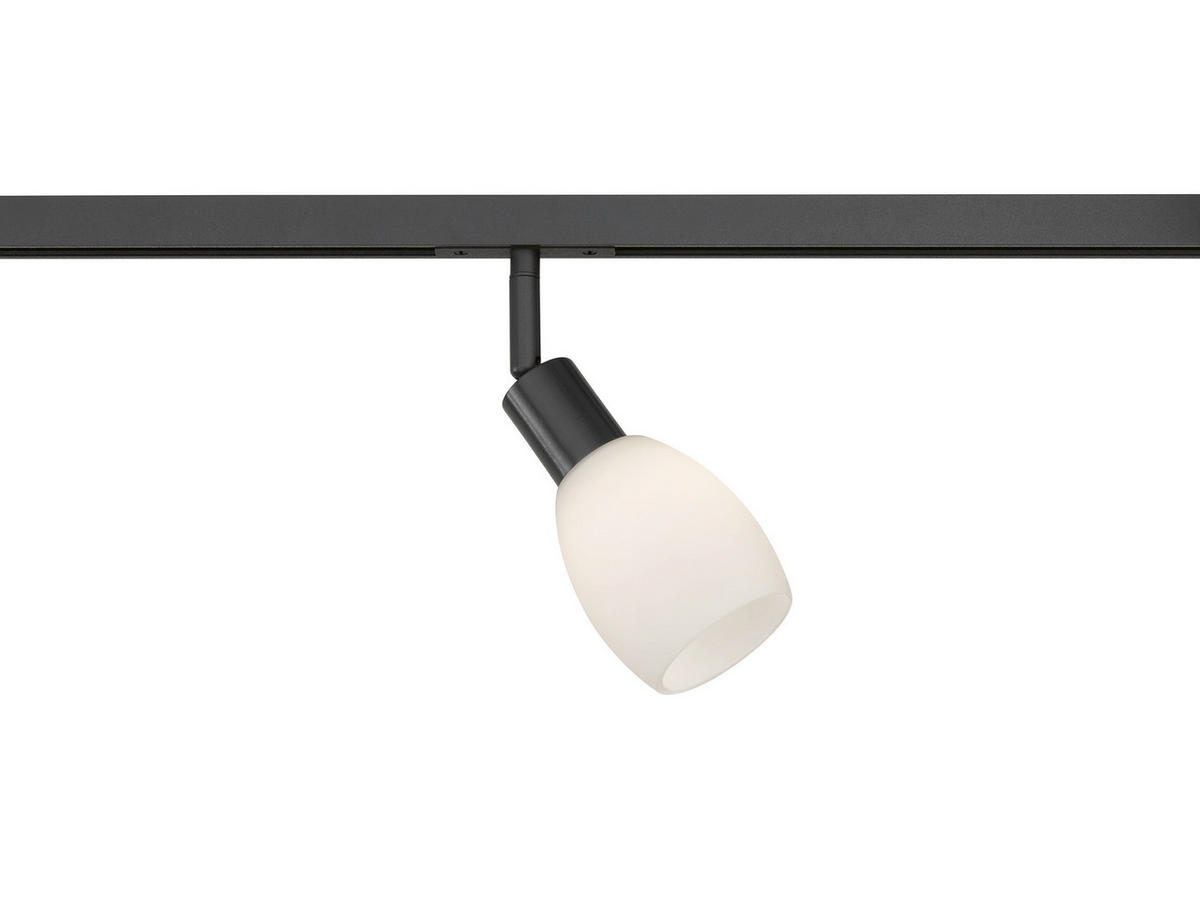 SKENSYSTEM 8/21 cm   - svart, Design, metall/glas (8/21cm) - Fischer & Honsel
