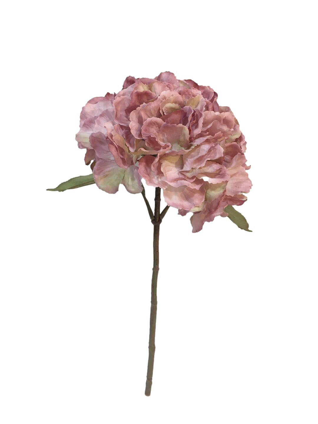 HORTENSIE - Altrosa, LIFESTYLE, Kunststoff (40cm)
