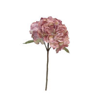 HORTENSIE - Altrosa, LIFESTYLE, Kunststoff (40cm)