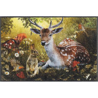 Covoraș De Intrare 50/75 cm  - multicolor, Design, plastic/textil (50/75cm) - wash+dry