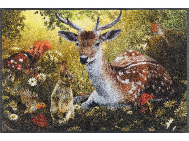 Covoraș De Intrare 50/75 cm