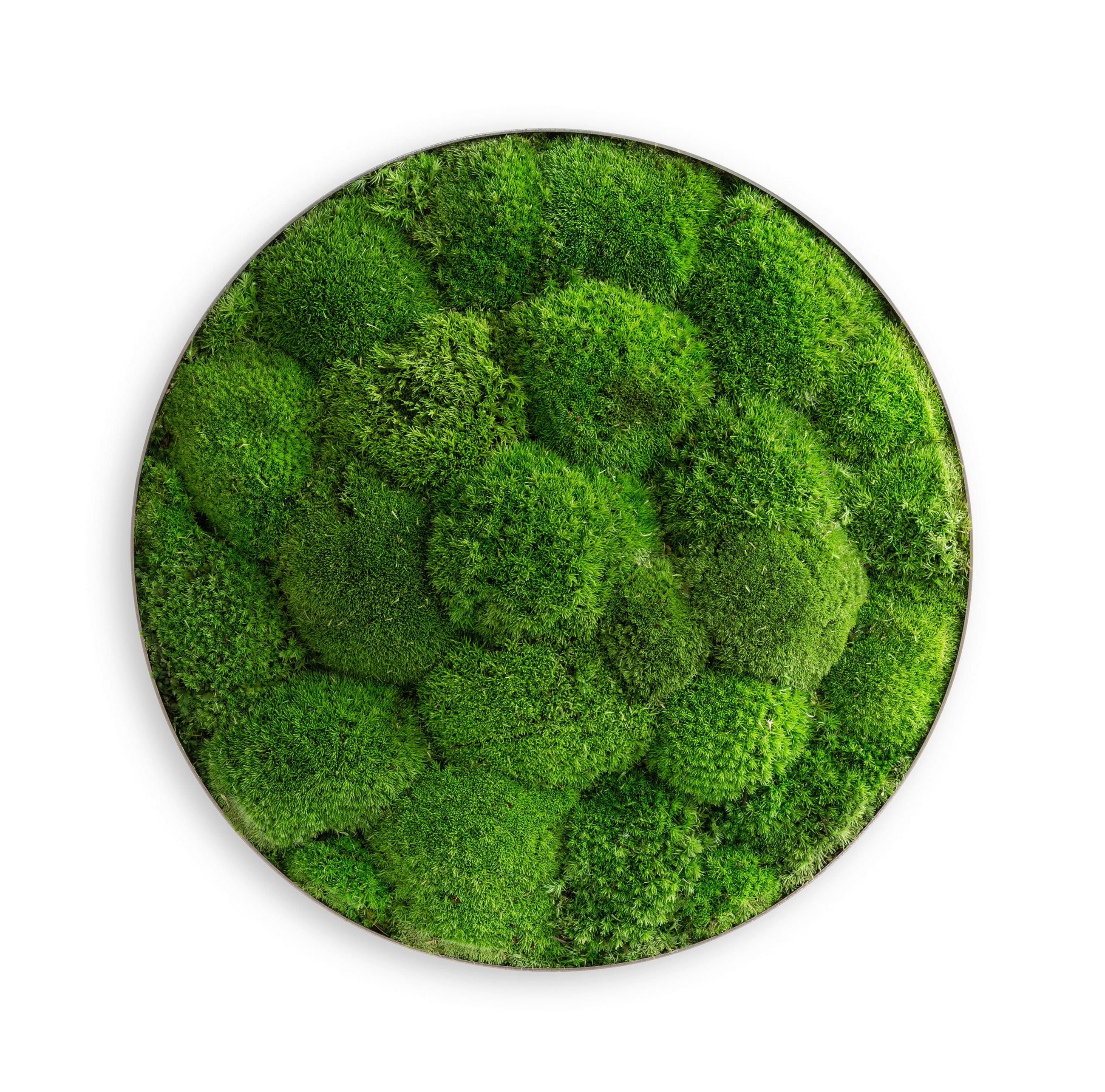 MOSSBILD Stylegreen  - grön, Basics, metall/naturmaterial (80/10cm)