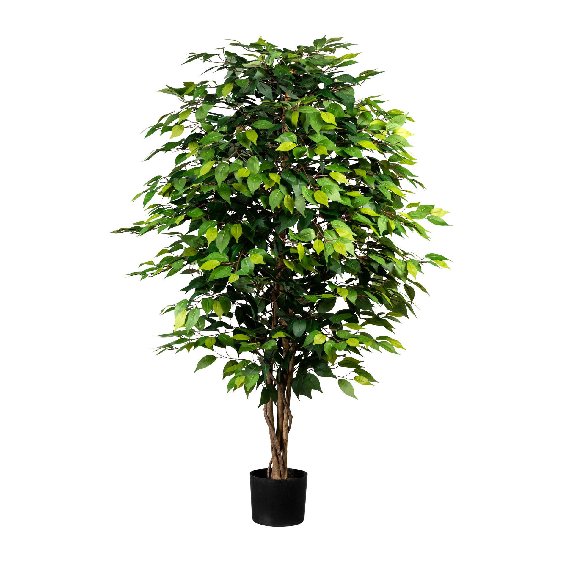 KUNSTPFLANZE Ficus Benjamina 150 cm  - Schwarz/Braun, Design, Naturmaterialien/Kunststoff (150cm) - P & B