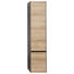 Hochschrank - Dunkelgrau/Eichefarben, Design, Glas/Holzwerkstoff (37/168/33cm) - Dieter Knoll Hochschrank - Dunkelgrau/Eichefarben, Design, Glas/Holzwerkstoff (37/168/33cm) - Dieter Knoll