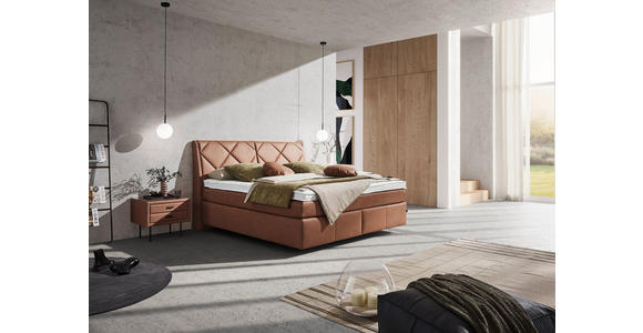 BOXSPRINGBETT 200/200 cm in Braun - Schwarz/Braun, KONVENTIONELL, Kunststoff/Textil (200/200cm) - Dieter Knoll