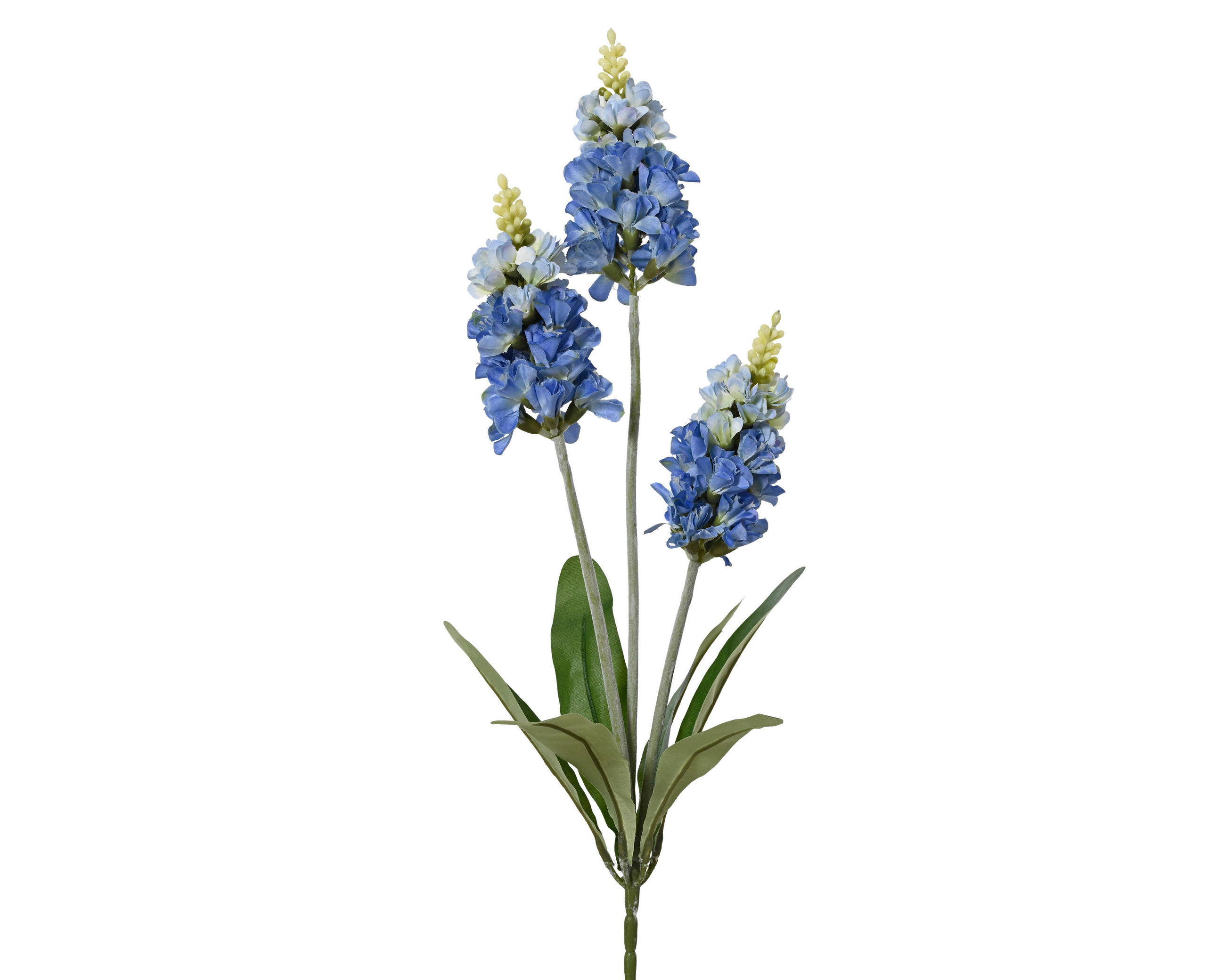 LEVENDULA - Basics (13,00/4,00/67,00cm)