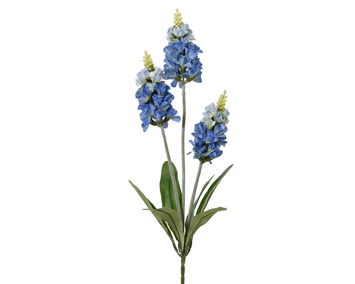 LEVENDULA - Basics (13,00/4,00/67,00cm)