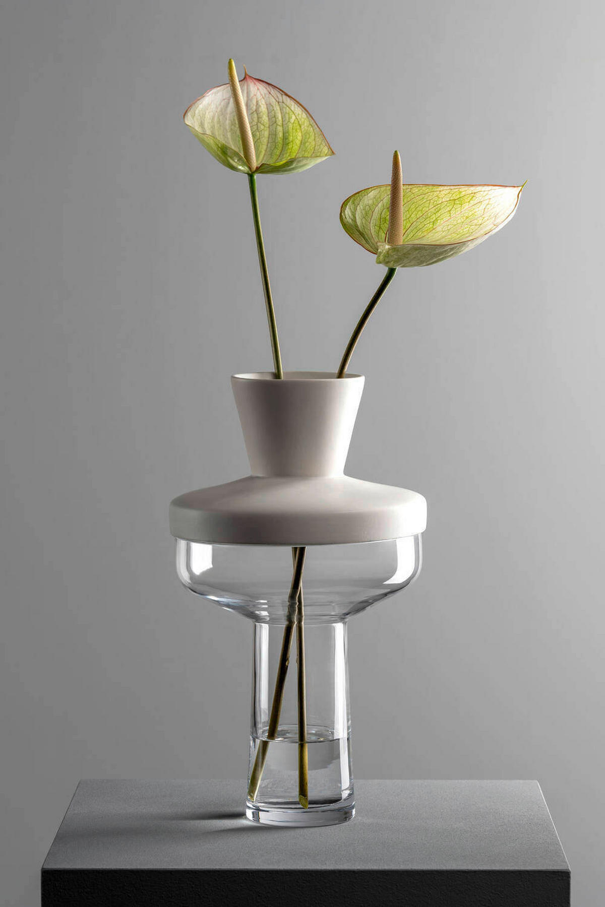 DEKOVASE  - Transparent/Weiß, Basics, Glas/Keramik (21/36/21cm) - Leonardo