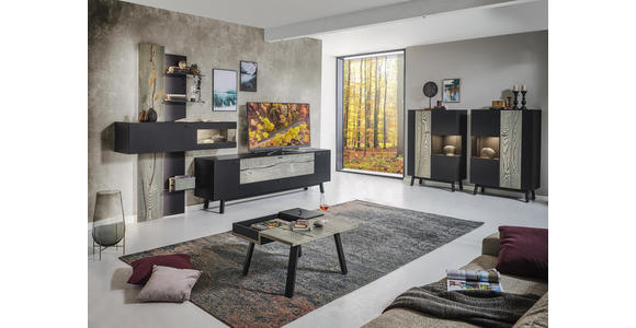 WOHNWAND in Grau, Eichefarben, Fango - Edelstahlfarben/Fango, Design, Glas/Holz (339,5/195,4/41,2cm) - Dieter Knoll