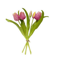 TULPE - Gelb/Violett, LIFESTYLE, Kunststoff (31cm)