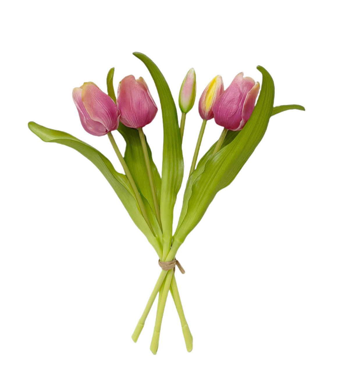 TULPE - Gelb/Violett, LIFESTYLE, Kunststoff (31cm)