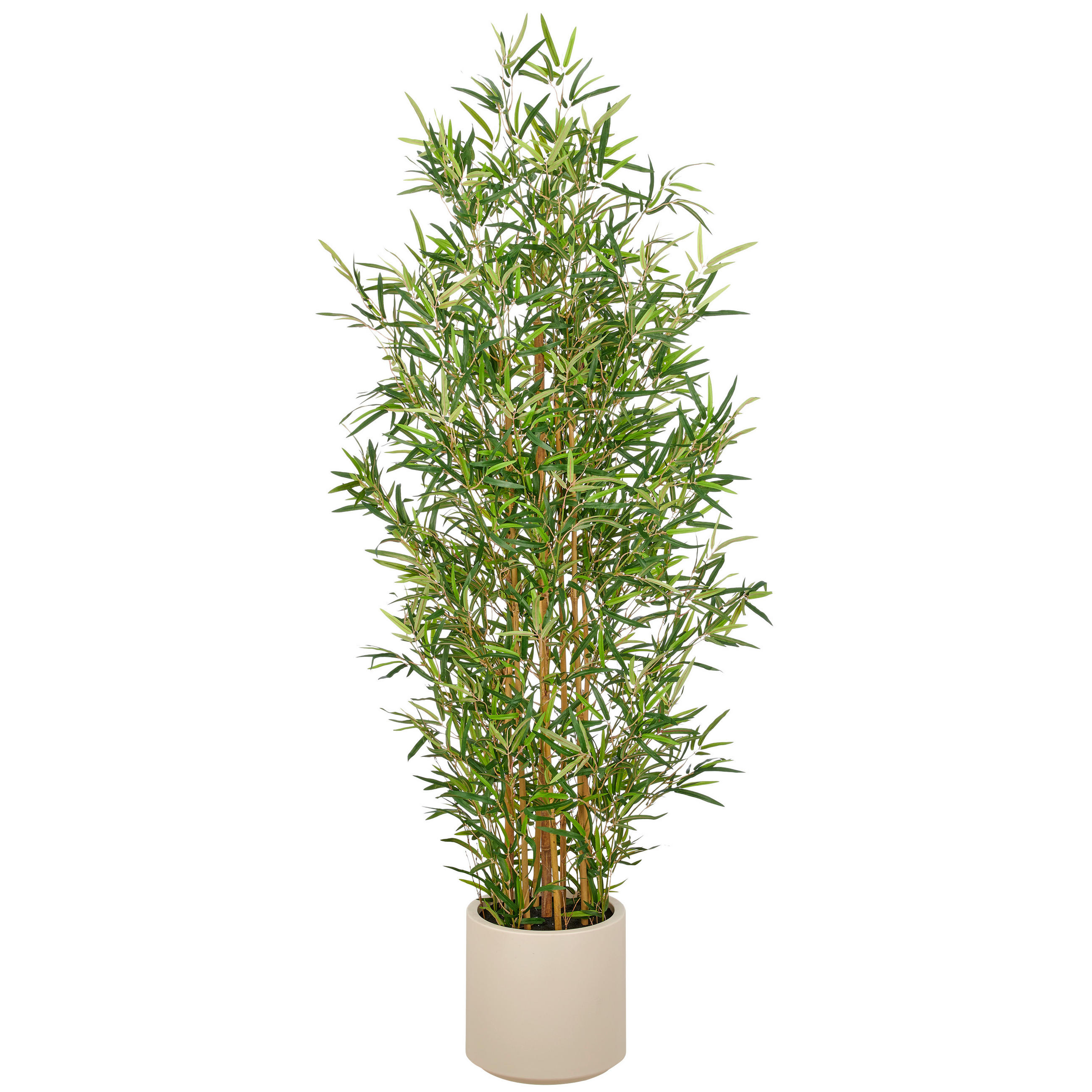 KUNSTPFLANZE Bambus 170 cm  - Creme/Braun, Basics, Kunststoff (170cm)